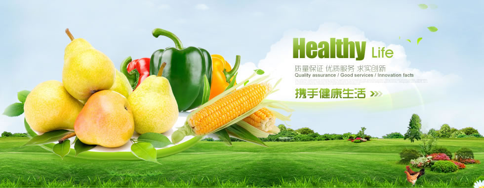 沈阳小怡电子商务有限公司